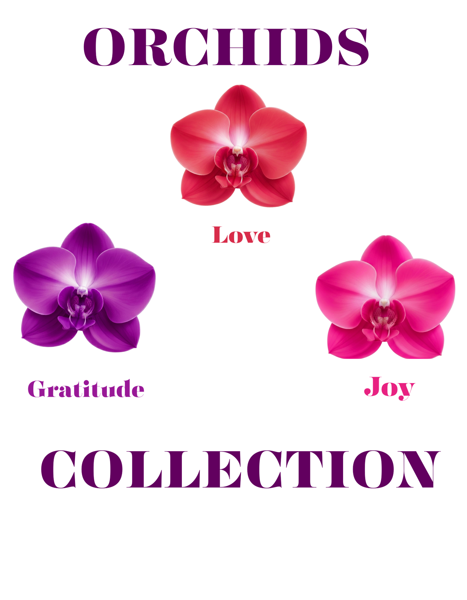 Orchids Collection: Love Joy Gratitude